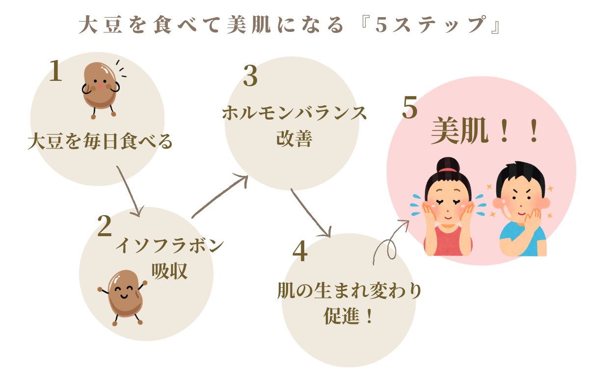 まとめ:大豆で育む、健やかな身体と心の習慣