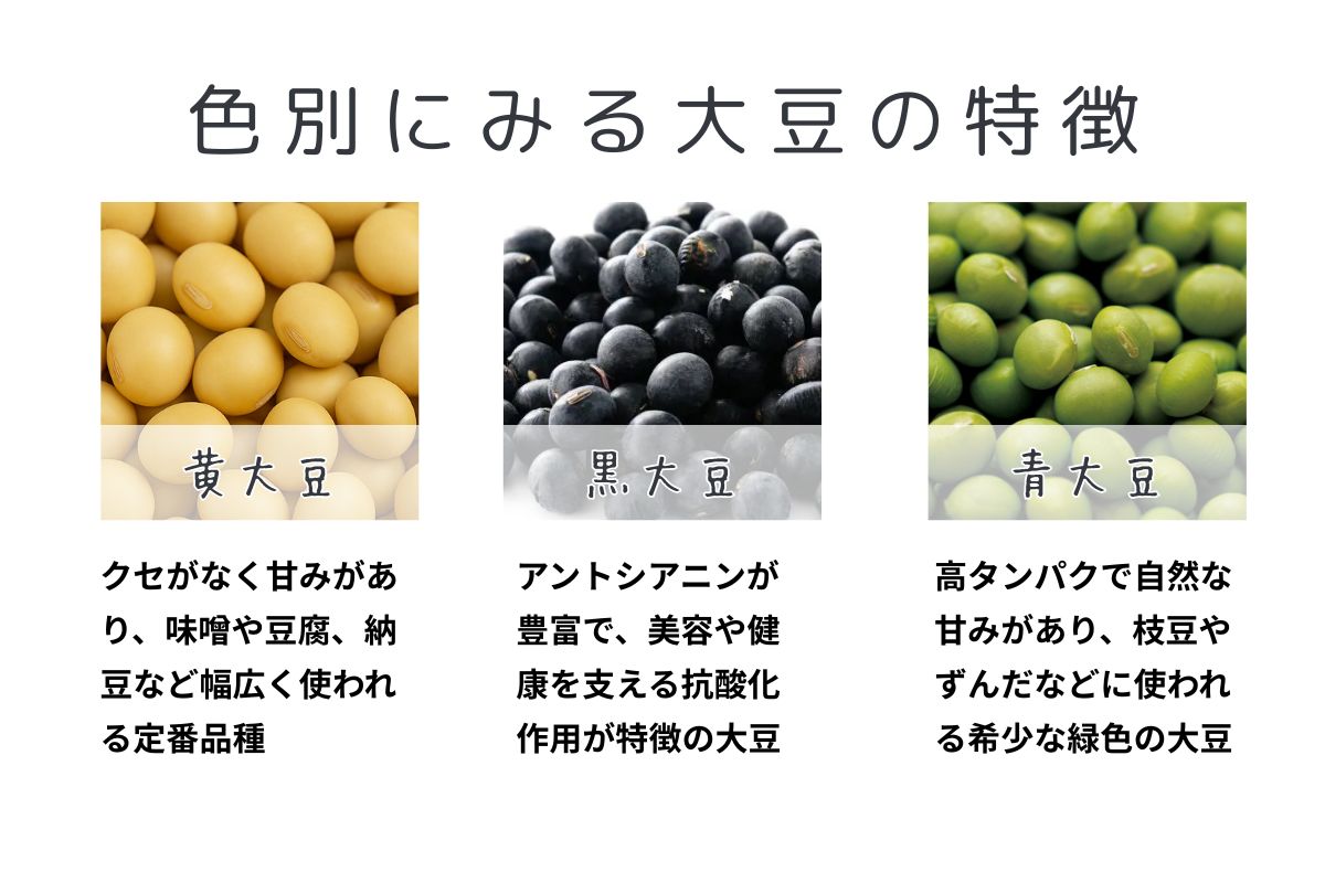 色別にみる大豆の特徴と健康効果