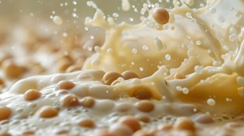 日本人は大豆イソフラボンを摂りすぎ？適量を心がけるなら『MASH SOY』を試そう